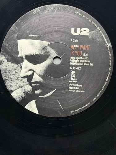 All want is you - -,